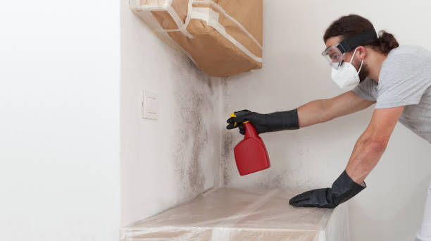 Professional Black Mold Removal technician working in Port Jefferson, NY